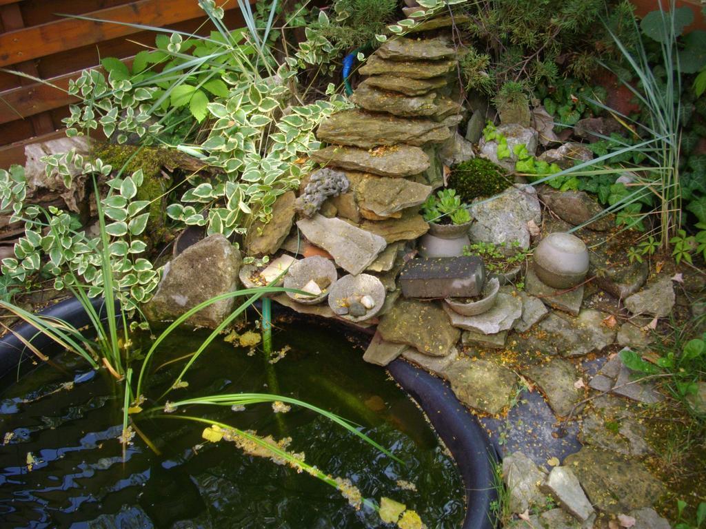 House Heviz Villa Ngoại thất bức ảnh